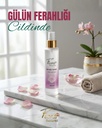 SAF GÜL TONİĞİ 